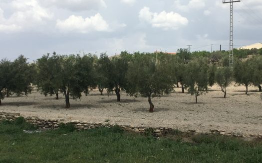 CT 101 almacen agricola en zona industrial