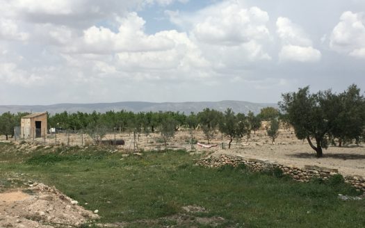 CT 101 almacen agricola en zona industrial