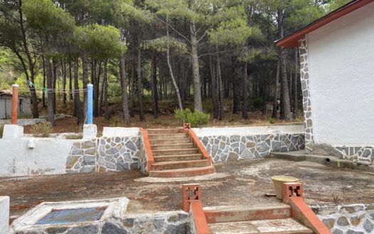 F 012 Finca en la zona de monte en Castalla.