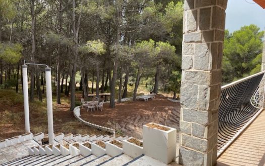 F 012 Finca en la zona de monte en Castalla.