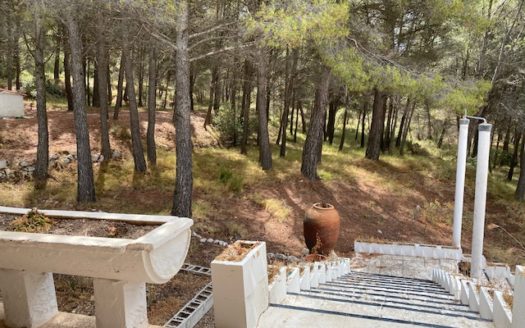 F 012 Finca en la zona de monte en Castalla.