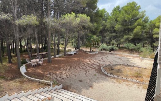 F 012 Finca en la zona de monte en Castalla.