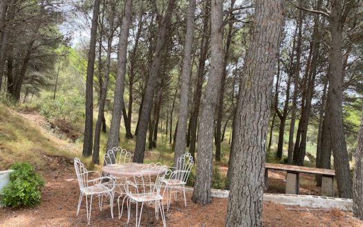 F 012 Finca en la zona de monte en Castalla.