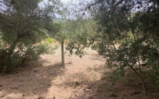 CT 053 Casa con terreno con pinada en el FIGUERAL.