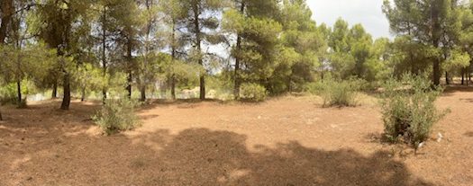 CT 053 Casa con terreno con pinada en el FIGUERAL.