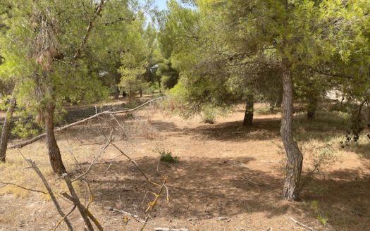 CT 053 Casa con terreno con pinada en el FIGUERAL.