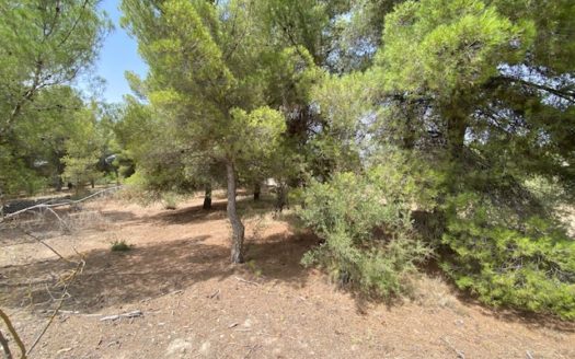 CT 053 Casa con terreno con pinada en el FIGUERAL.