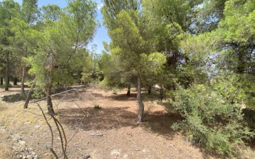 CT 053 Casa con terreno con pinada en el FIGUERAL.