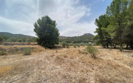 CT 053 Casa con terreno con pinada en el FIGUERAL.