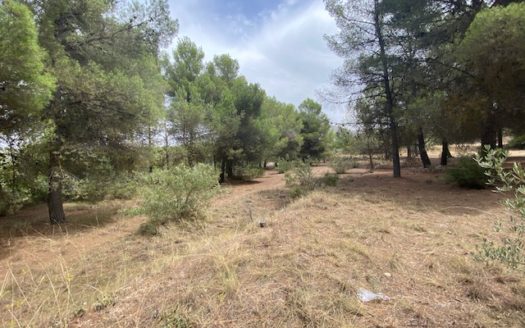 CT 053 Casa con terreno con pinada en el FIGUERAL.