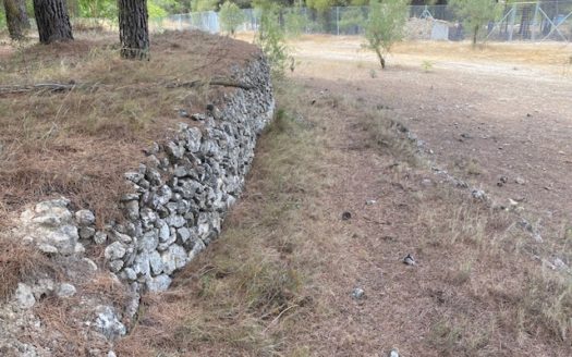 CT 053 Casa con terreno con pinada en el FIGUERAL.