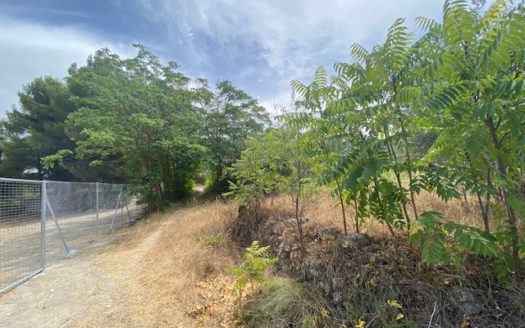 CT 053 Casa con terreno con pinada en el FIGUERAL.