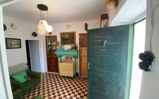 CT 053 Casa con terreno con pinada en el FIGUERAL.