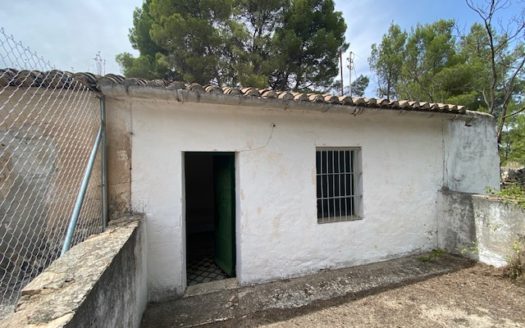 CT 053 Casa con terreno con pinada en el FIGUERAL.