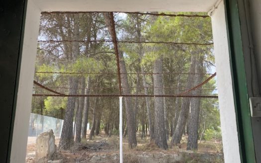 CT 053 Casa con terreno con pinada en el FIGUERAL.