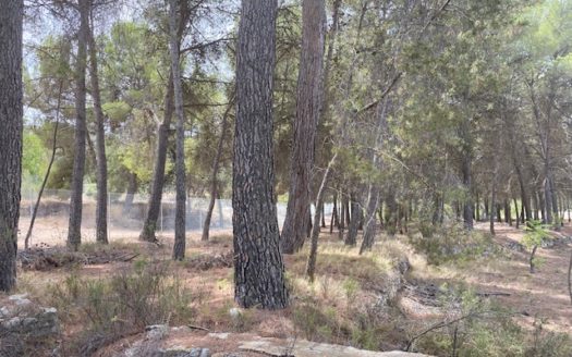 CT 053 Casa con terreno con pinada en el FIGUERAL.