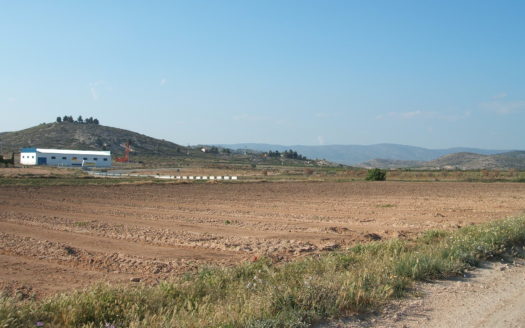 T 030 Terreno carretera de Cañada
