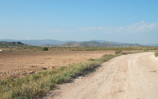 T 030 Terreno carretera de Cañada