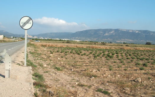 T 030 Terreno carretera de Cañada