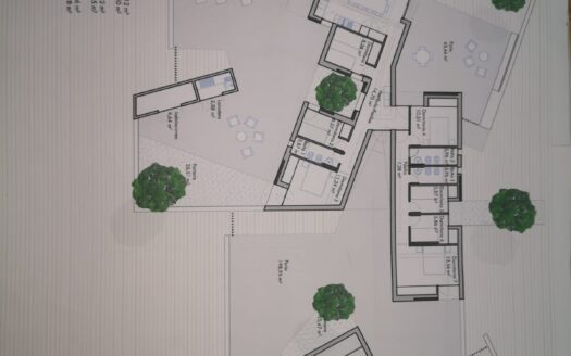 T 386 olivar en venta ! Se vende terreno en Carretera Biar-Campo de Mirra