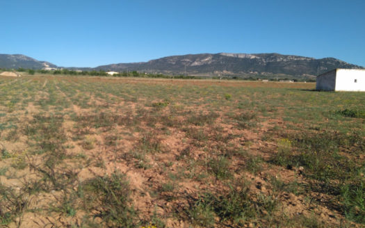 T228 Parcela de 18605 m2 con almacen agricola de 27m2