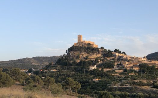 T228 Parcela de 18605 m2 con almacen agricola de 27m2