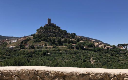 T228 Parcela de 18605 m2 con almacen agricola de 27m2