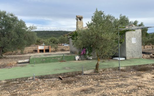 CT 062 caseta de aperos en terreno con agua de riego y baño.