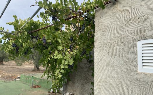 CT 062 caseta de aperos en terreno con agua de riego y baño.