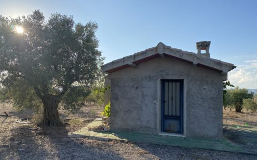 CT 062 caseta de aperos en terreno con agua de riego y baño.