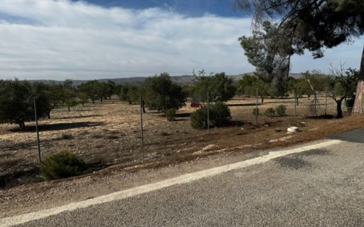 T413 parcela en la zona del Borrel, vallada y en produccion.