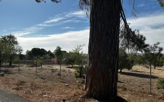 T413 parcela en la zona del Borrel, vallada y en produccion.