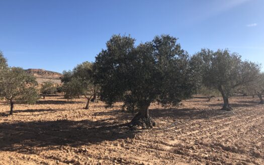 CT 115 Casa Con Terreno en Venta en Paraje Hoya Hermosa