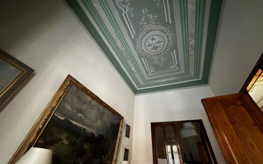 C324 Casa Modernista en Caudete