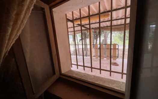 Casita vivienda de 22m2 y 20m2 de porche y 10m2 de balsa. La parcela tiene 17.000 M2 de olivar.