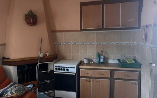 Casita vivienda de 22m2 y 20m2 de porche y 10m2 de balsa. La parcela tiene17.000 M2 de olivar.