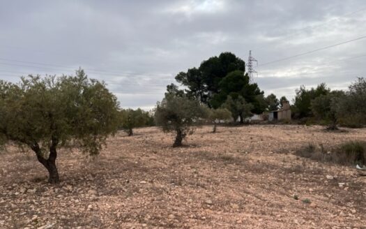 Casita vivienda de 22m2 y 20m2 de porche y 10m2 de balsa. La parcela tiene17.000 M2 de olivar.