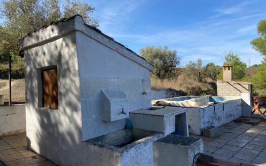 Casita vivienda de 22m2 y 20m2 de porche y 10m2 de balsa. La parcela tiene 17.000 M2 de olivar.