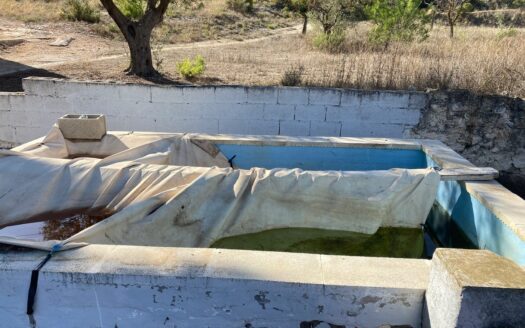 Casita vivienda de 22m2 y 20m2 de porche y 10m2 de balsa. La parcela tiene17.000 M2 de olivar.