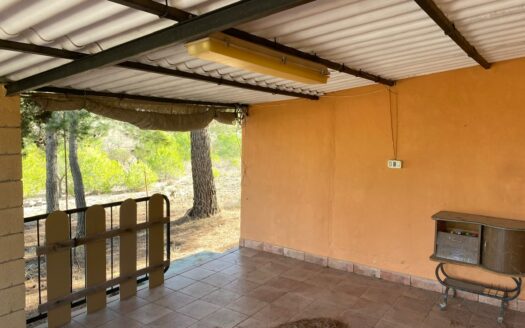 Casita vivienda de 22m2 y 20m2 de porche y 10m2 de balsa. La parcela tiene17.000 M2 de olivar.