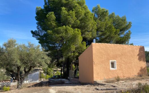 Casita vivienda de 22m2 y 20m2 de porche y 10m2 de balsa. La parcela tiene17.000 M2 de olivar.