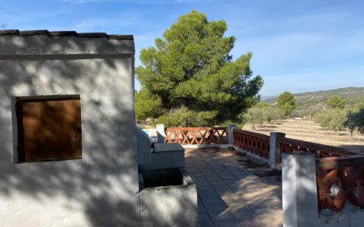 Casita vivienda de 22m2 y 20m2 de porche y 10m2 de balsa. La parcela tiene 17.000 M2 de olivar.