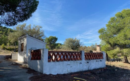 Casita vivienda de 22m2 y 20m2 de porche y 10m2 de balsa. La parcela tiene 17.000 M2 de olivar.