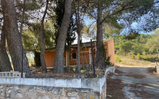 Casita vivienda de 22m2 y 20m2 de porche y 10m2 de balsa. La parcela tiene 17.000 M2 de olivar.