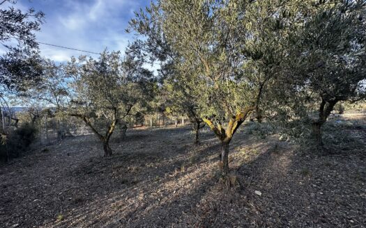 Venta de chalet 224 en Biar