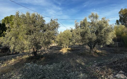 Venta de chalet 224 en Biar