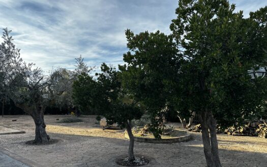 Venta de chalet 224 en Biar