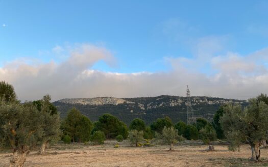 T 267 Terreno en venta en Els Cabesols (Biar)