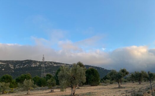 T 267 Terreno en venta en Els Cabesols (Biar)