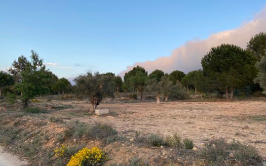 T 267 Terreno en venta en Els Cabesols (Biar)